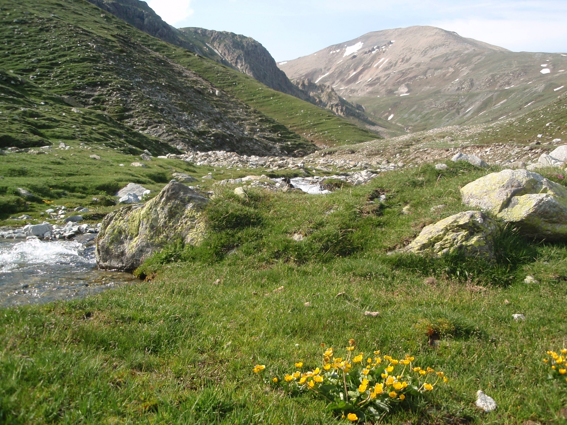 Bastiments i Vall del Freser