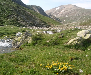 Paissatges / Paisajes