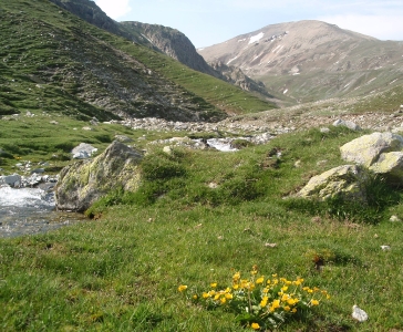 Bastiments i Vall del Freser