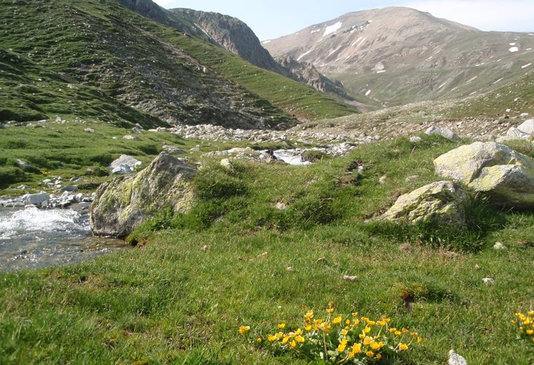 Bastiments - Gra de Fajol